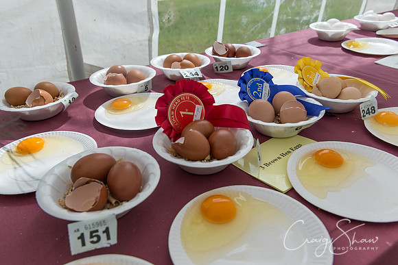 023_BlackshawFete2013_bluplanetphoto