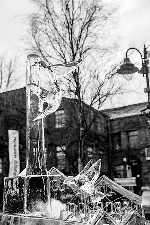 84_HebdenHummingbirdsIceCarve_Jan2016_craigshaw