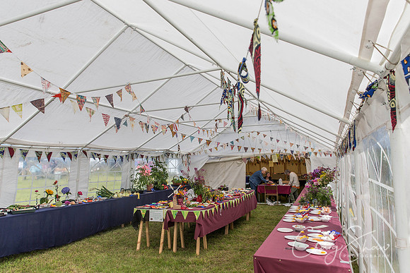 214_BlackshawFete2013_bluplanetphoto