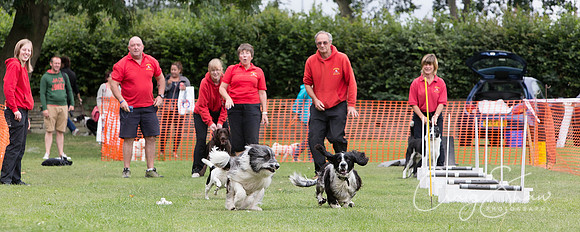 942_HuddsBarkinthePark2013_bluplanetphoto__D8Q6129-Edit