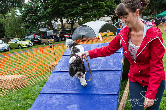 720_HuddsBarkinthePark2013_bluplanetphoto_IMG_0660
