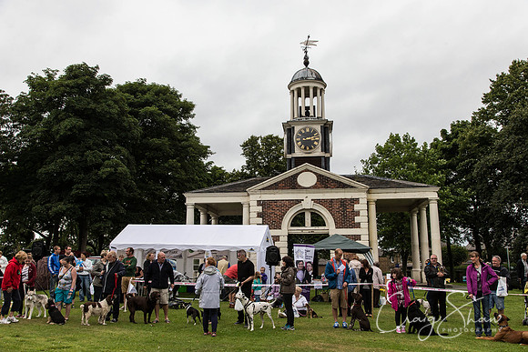 2632_HuddsBarkinthePark2013_bluplanetphoto__D8Q7381