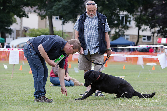 1202_HuddsBarkinthePark2013_bluplanetphoto__D8Q6310-Edit