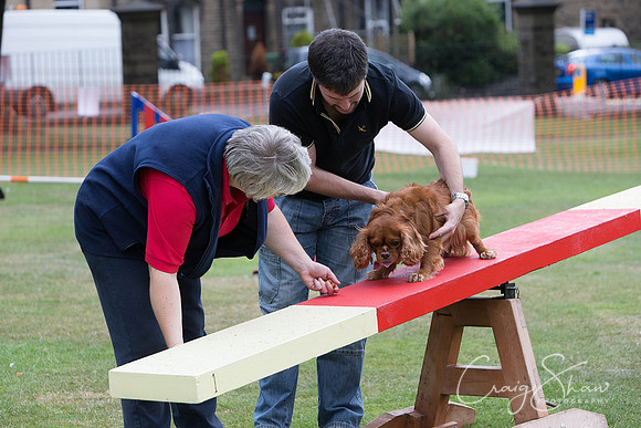 1424_HuddsBarkinthePark2013_bluplanetphoto__D8Q6470-Edit