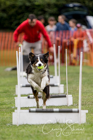315_HuddsBarkinthePark2013_bluplanetphoto_ED8Q5680