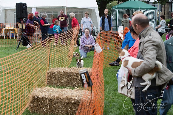 868_HuddsBarkinthePark2013_bluplanetphoto__D8Q6062-Edit