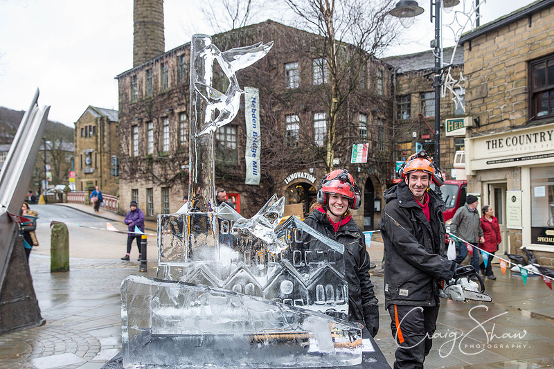 26_HebdenHummingbirdsIceCarve_Jan2016_craigshaw