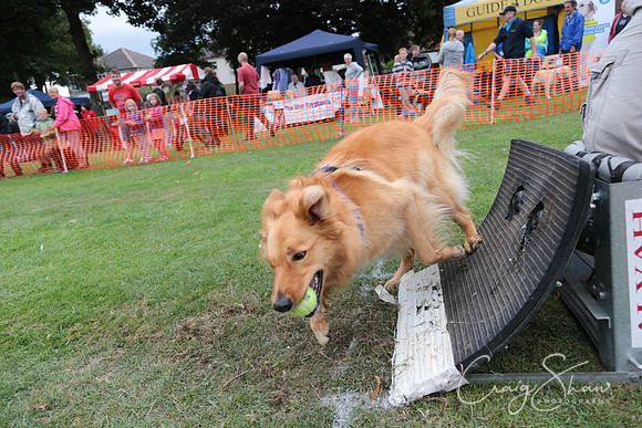 3046_HuddsBarkinthePark2013_bluplanetphoto_ED8Q7788