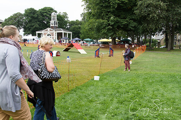 503_HuddsBarkinthePark2013_bluplanetphoto_IMG_0576-Edit