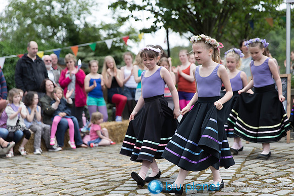 1053_HBAF2013_Sunday30th_bluplanetphoto-Edit