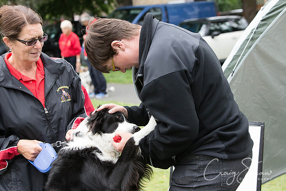 1148_HuddsBarkinthePark2013_bluplanetphoto__D8Q6263-Edit