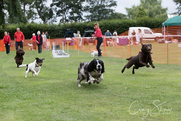 921_HuddsBarkinthePark2013_bluplanetphoto__D8Q6108-Edit