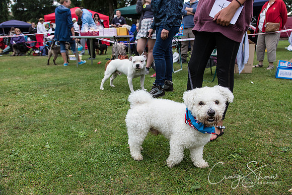 2690_HuddsBarkinthePark2013_bluplanetphoto__D8Q7437