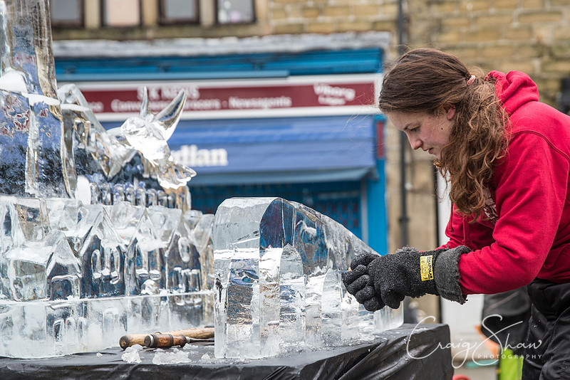 131_HebdenHummingbirdsIceCarve_Jan2016_craigshaw