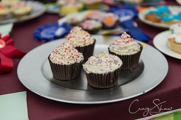 015_BlackshawFete2013_bluplanetphoto