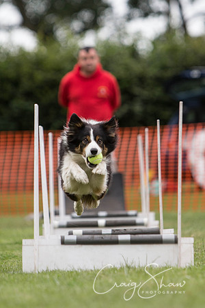 166_HuddsBarkinthePark2013_bluplanetphoto_ED8Q5531