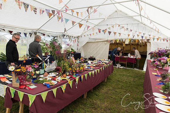 005_BlackshawFete2013_bluplanetphoto