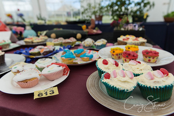 030_BlackshawFete2013_bluplanetphoto
