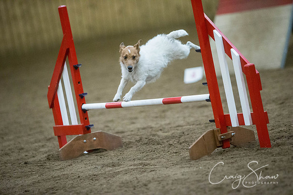 1645_springfling2015_bluplanetphoto
