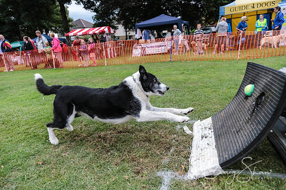 3057_HuddsBarkinthePark2013_bluplanetphoto_ED8Q7799
