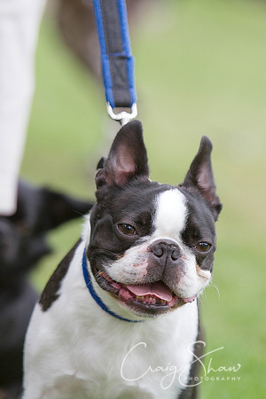 2699_HuddsBarkinthePark2013_bluplanetphoto_IMG_1179-Edit