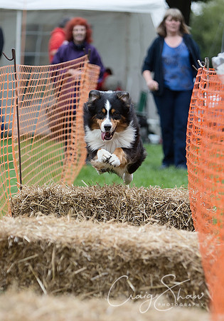 1012_HuddsBarkinthePark2013_bluplanetphoto_ED8Q6163-Edit