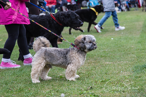 2720_HuddsBarkinthePark2013_bluplanetphoto__D8Q7462