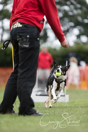 213_HuddsBarkinthePark2013_bluplanetphoto_ED8Q5578-Edit
