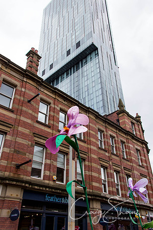 1998ManchesterDayParade2013_bluplanetphoto