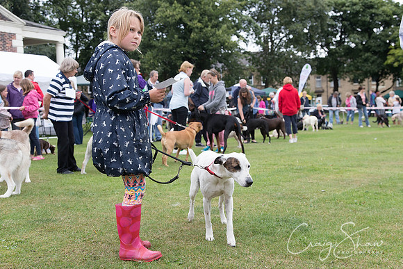 2434_HuddsBarkinthePark2013_bluplanetphoto__D8Q7243-Edit