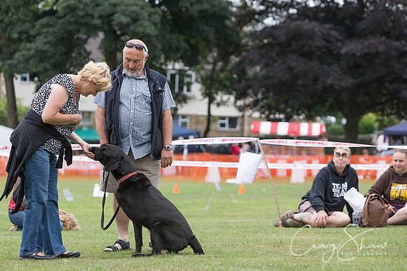 1190_HuddsBarkinthePark2013_bluplanetphoto__D8Q6298-Edit
