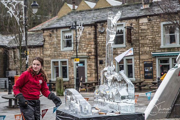 141_HebdenHummingbirdsIceCarve_Jan2016_craigshaw