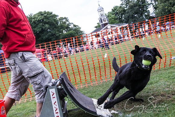2864_HuddsBarkinthePark2013_bluplanetphoto__D8Q7606