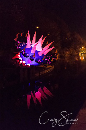 1575_LamplighterFestival2013_bluplanetphoto