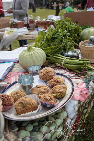 262_BlackshawFete2013_bluplanetphoto