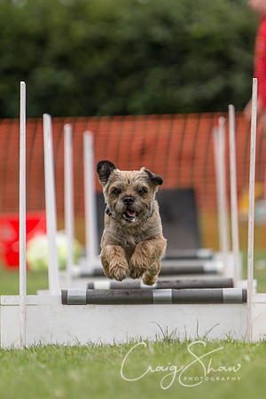 87_HuddsBarkinthePark2013_bluplanetphoto_ED8Q5453