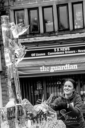 127_HebdenHummingbirdsIceCarve_Jan2016_craigshaw