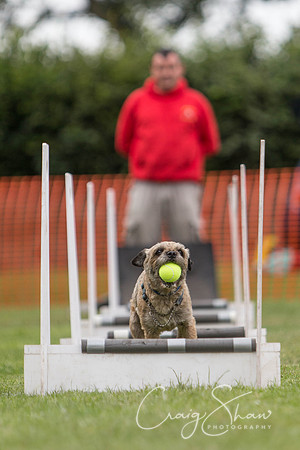148_HuddsBarkinthePark2013_bluplanetphoto_ED8Q5513