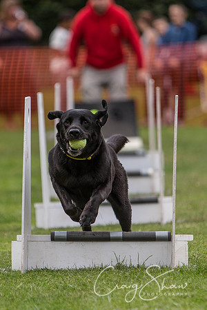332_HuddsBarkinthePark2013_bluplanetphoto_ED8Q5697