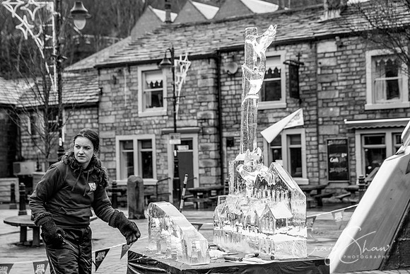 141_HebdenHummingbirdsIceCarve_Jan2016_craigshaw