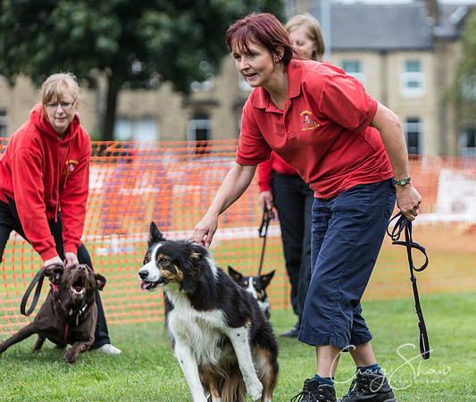 395_HuddsBarkinthePark2013_bluplanetphoto_ED8Q5758
