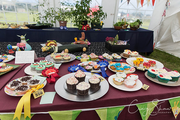 014_BlackshawFete2013_bluplanetphoto