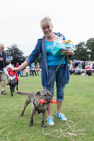 2398_HuddsBarkinthePark2013_bluplanetphoto__D8Q7209-Edit