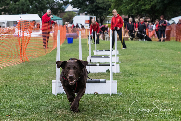 2777_HuddsBarkinthePark2013_bluplanetphoto__D8Q7519