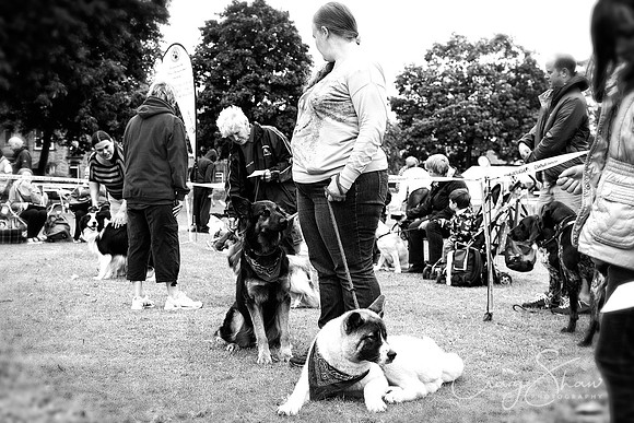 2463_HuddsBarkinthePark2013_bluplanetphoto__D8Q7272-Edit