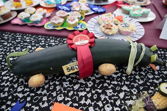 191_BlackshawFete2013_bluplanetphoto