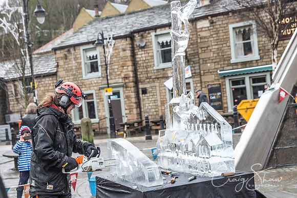 104_HebdenHummingbirdsIceCarve_Jan2016_craigshaw