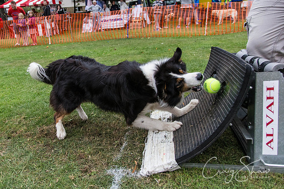 3024_HuddsBarkinthePark2013_bluplanetphoto_ED8Q7766
