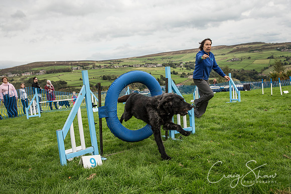 1629_Woofstock2016_craigshaw