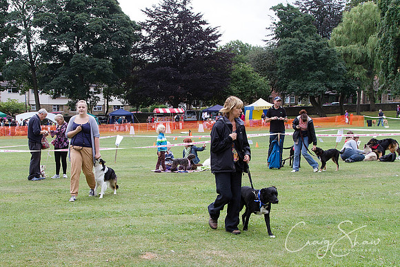 1236_HuddsBarkinthePark2013_bluplanetphoto_IMG_0842-Edit
